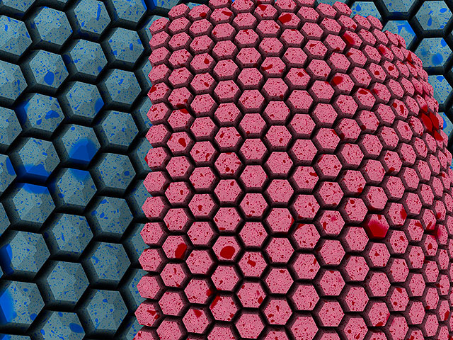 Hex
